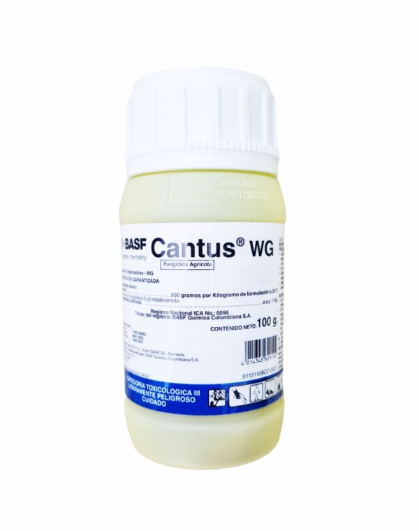 Cantus WG  100Gr