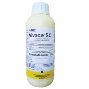 Vivace SC  1Lt