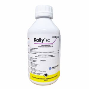 Rally EC  1Lt