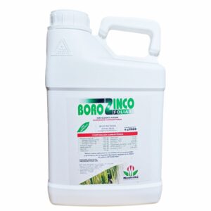 Borozinco  4Lt