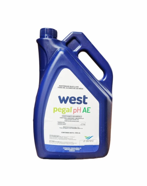 Pegal PH AE  1Galón