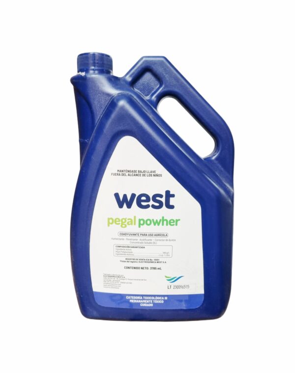 Pegal Powher  1Galón