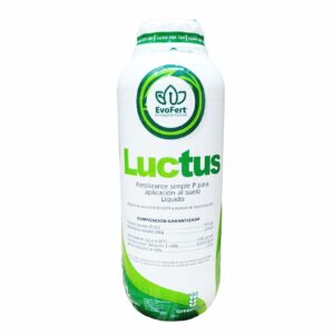 Luctus  1Lt