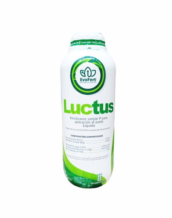 Luctus  1Lt